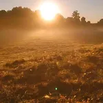 żurawia Polana