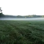 żurawia Polana *