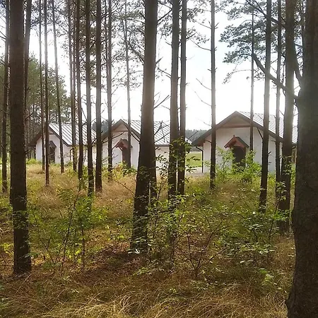 Zurawia Polana Swietajno (Szczytno)