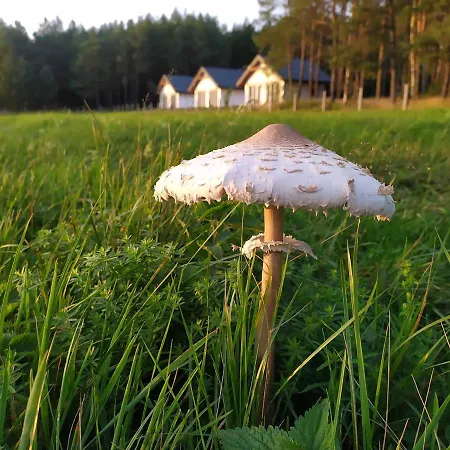 Zurawia Polana Swietajno (Szczytno)