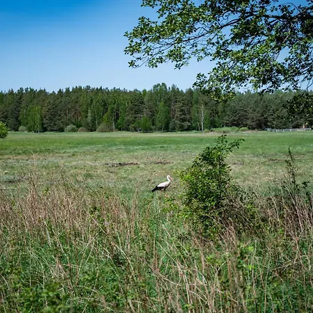 Zurawia Polana 펜션