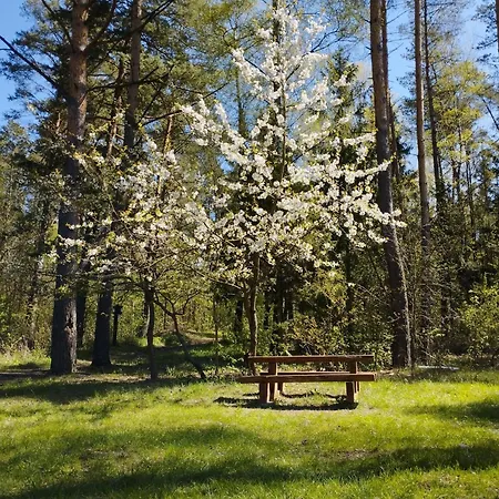 펜션 Zurawia Polana *