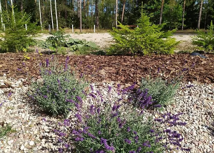 żurawia Polana * Swietajno (Szczytno)