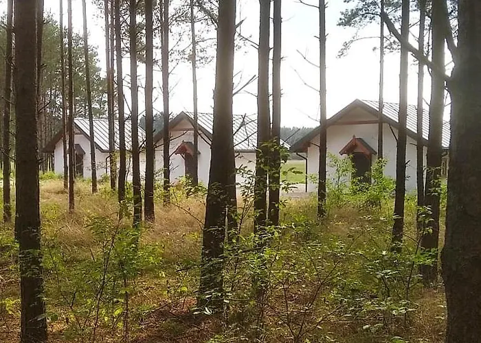 żurawia Polana Swietajno (Szczytno)