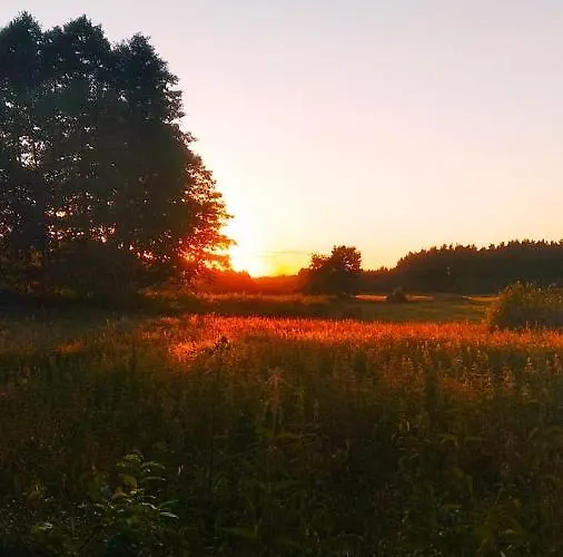 Dom wakacyjny żurawia Polana Swietajno (Szczytno)