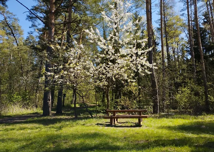 Dom wakacyjny żurawia Polana *